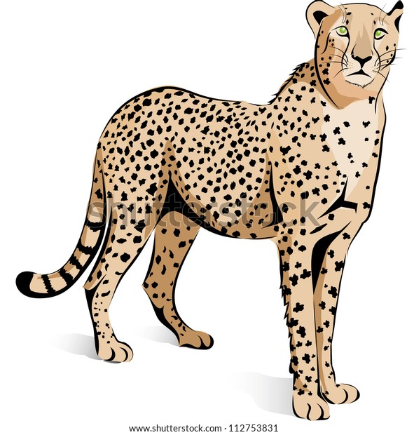 Vector Cheetah Stock Vector (Royalty Free) 112753831