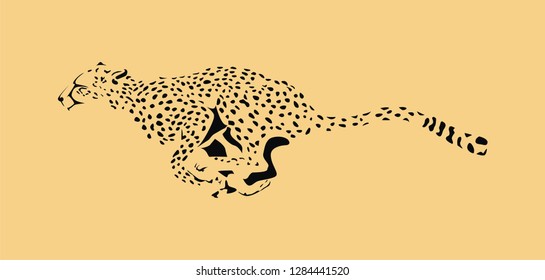 vector Cheetah, leopard