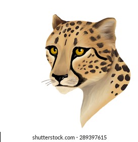 Vector cheetah portrait isolated on white background