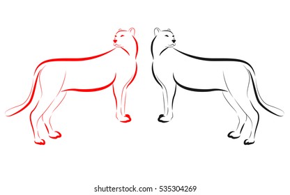 Vector cheetah tiger on a white background