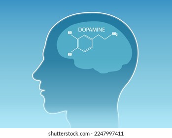 Vector of a chemical formula of the hormone dopamine inside human brain 