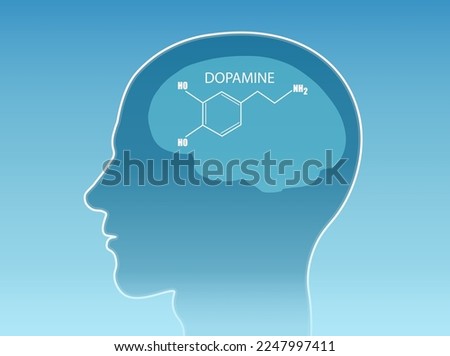 Vector of a chemical formula of the hormone dopamine inside human brain 