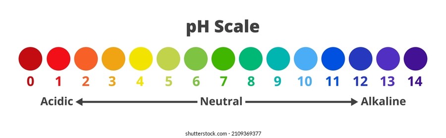 Vector chemical illustration of pH scale for a measure of how acidic or basic solution is.  Ph scale value test with the range from 0 to 14 isolated on a white background. Acidic, neutral, alkaline.