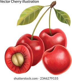 Vector Cherries rojo con ilustración de hojas