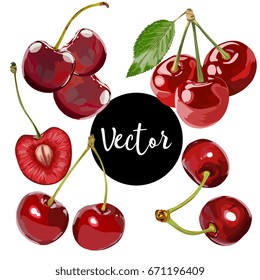 Vector Cherries Set