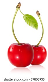 Vector. Cherries with water drops.