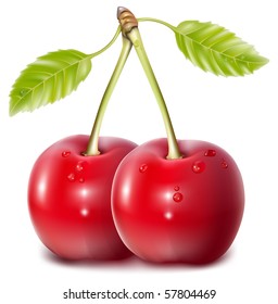 Vector. Cherries with water drops.