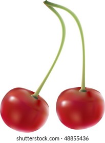vector cherry