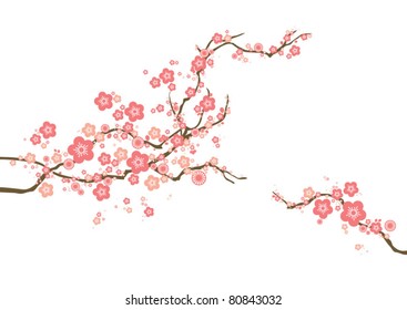 vector cherry blossom