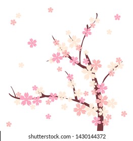 vector cherry blossom , beautiful pink flower 