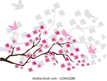 vector cherry blossom with birds