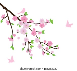 vector cherry blossom with birds