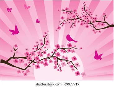 vector cherry blossom with birds and butterflies