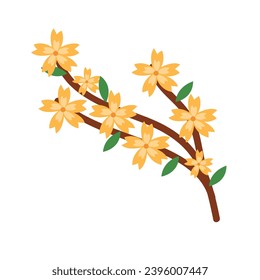 Vector cherry blossom branch isolated on white.