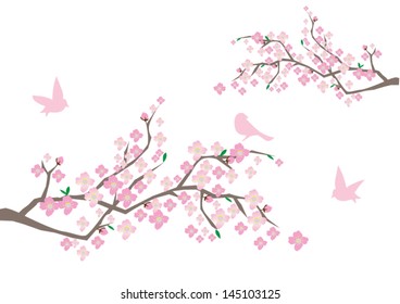 vector cherry blossom branches with birds