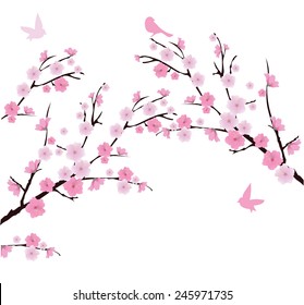 vector cherry blossom branches with birds