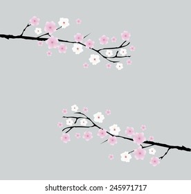 vector cherry blossom branches with space for text
