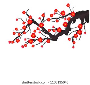 Vector Cherry blossom for Chinese New Year and mid autumn festival
