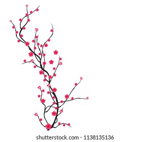 Vector Cherry blossom for Chinese New Year and mid autumn festival