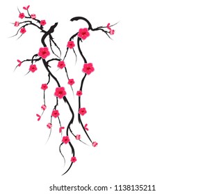 Vector Cherry blossom for Chinese New Year and mid autumn festival