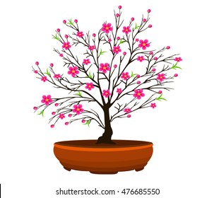 Vector Cherry blossom for Chinese New Year and lunar new year 