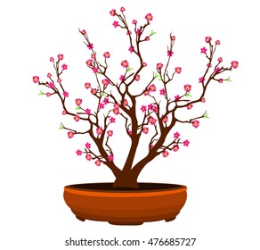 Vector Cherry blossom for Chinese New Year and lunar new year