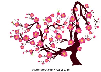 Vector Cherry blossom for Chinese New Year and lunar new year