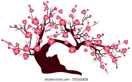 Vector Cherry blossom for Chinese New Year and lunar new year