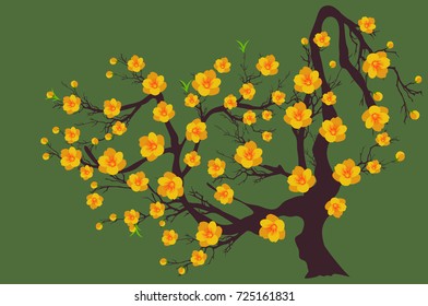Vector Cherry blossom for Chinese New Year and lunar new year 
