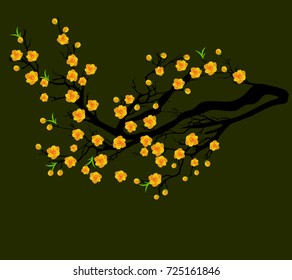 Vector Cherry blossom for Chinese New Year and lunar new year