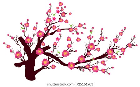 Vector Cherry blossom for Chinese New Year and lunar new year