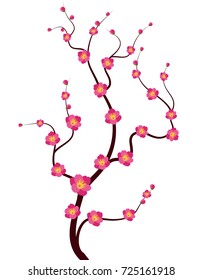 Vector Cherry blossom for Chinese New Year and lunar new year 