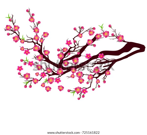 中国の新年と旧正月のベクター桜 のベクター画像素材 ロイヤリティフリー