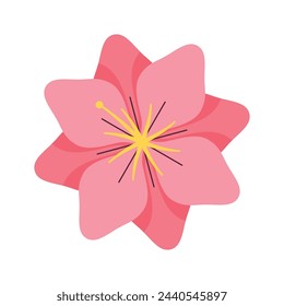 vector cherry blossom illustration on white background.