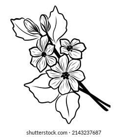 Vector cherry blossom with leaves. Romantic Line art floral invitations