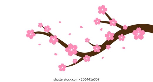 Vector Cherry Blossom Sakura Branch on White Background