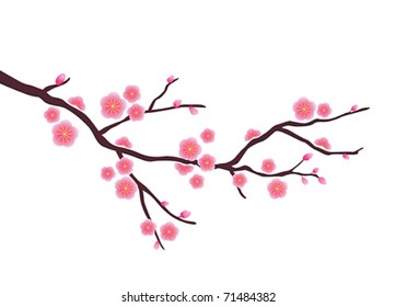 Vector Cherry blossom in spring time