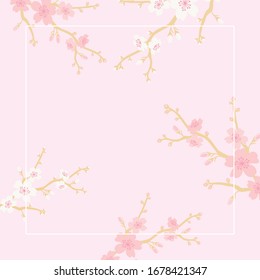 Vector cherry blossoms background illustration