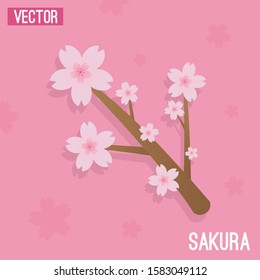 Vector Cherry Blossoms Pink Floral Background