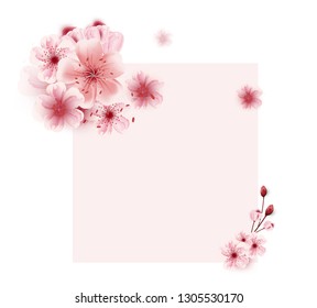 vector cherry blossoms sakura flowers  isolated on white background, Flower illustration, lovely greeting cards ,elements,invitation,brochure,banners,posters