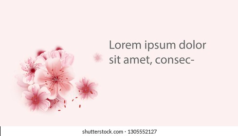 vector cherry blossoms sakura flowers isolated on pink background, Flower illustration, lovely greeting cards ,elements,invitation,brochure,banners,posters