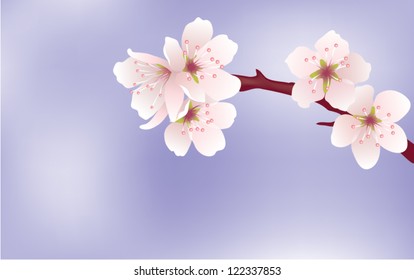 vector cherry branch