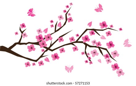 vector cherry branch