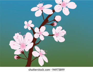 vector cherry branch