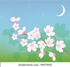 vector cherry branch