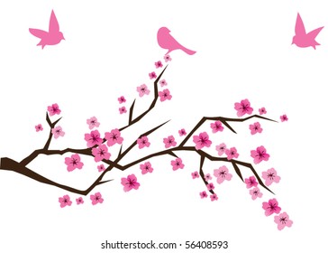 vector cherry branch in blossom