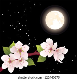 vector cherry branch and moon