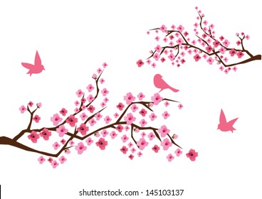 vector cherry branches in blossom with birds