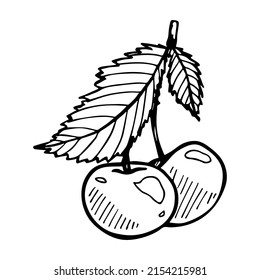 Clíparte de cerezo vectorial. Icono de berry dibujado a mano. Ilustración de fruta. Para imprimir, web, diseño, decoración, logotipo.