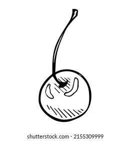 Clíparte de cerezo vectorial. Icono de berry dibujado a mano. Ilustración de fruta. Para imprimir, web, diseño, decoración, logotipo.